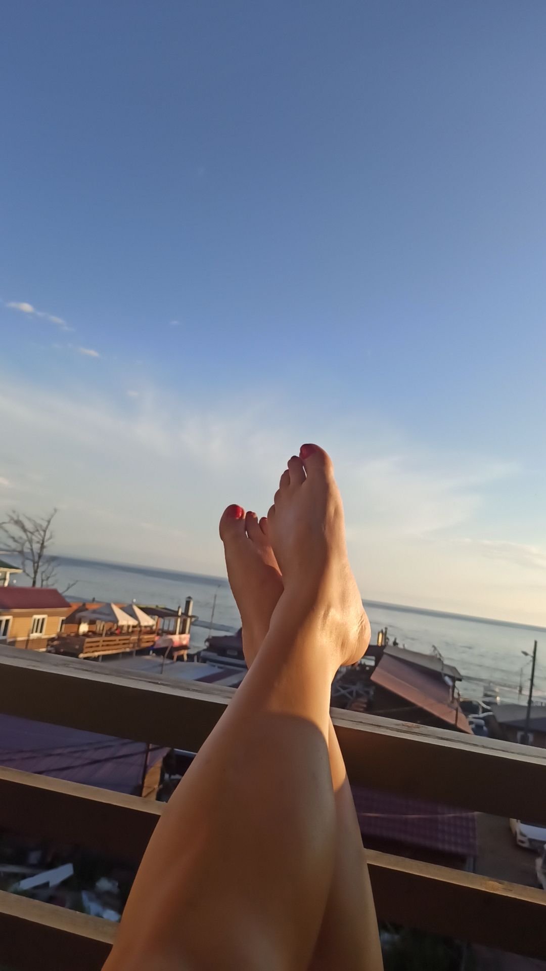 Фото Байкал Кедр