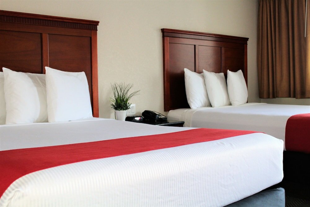 Фото Rodeway Inn