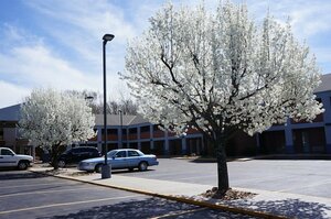 Гостиница Best Western Country Inn - North