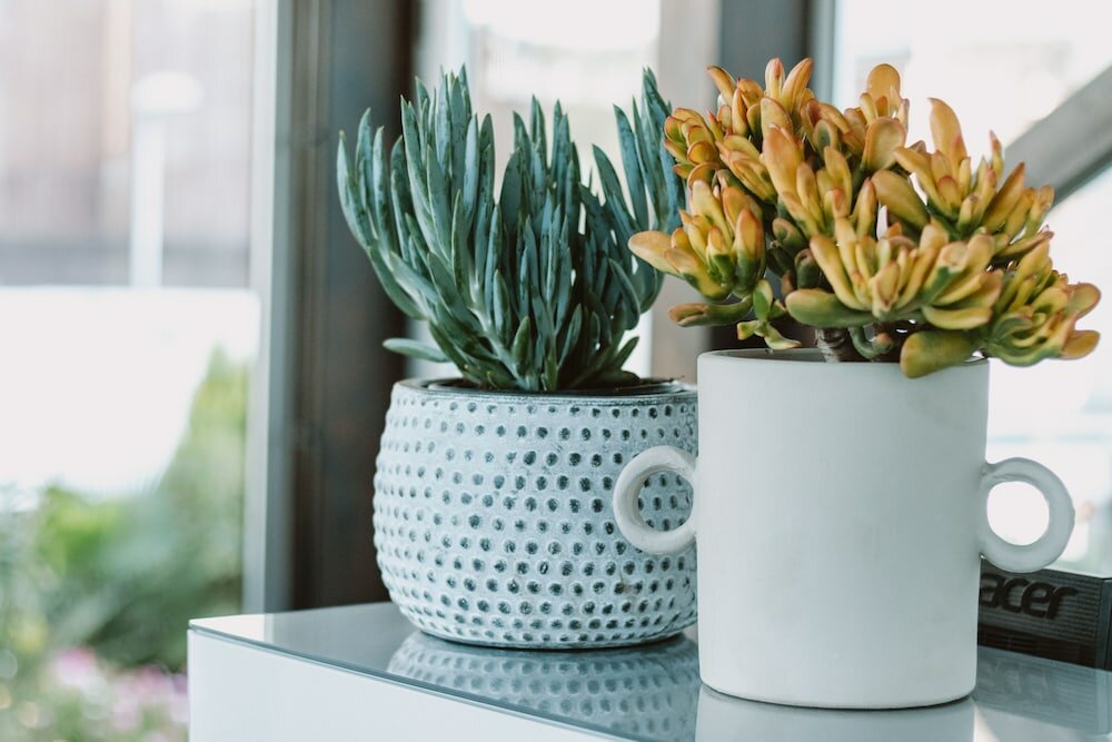 Фото Apartamentos El Palmar