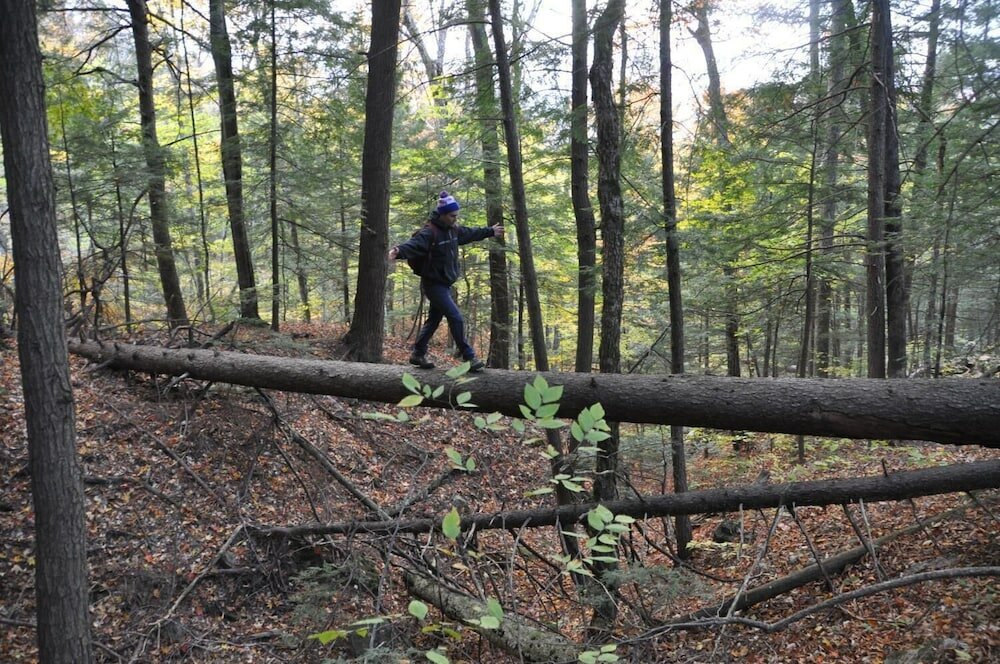 Фото Attitash Mountain Village