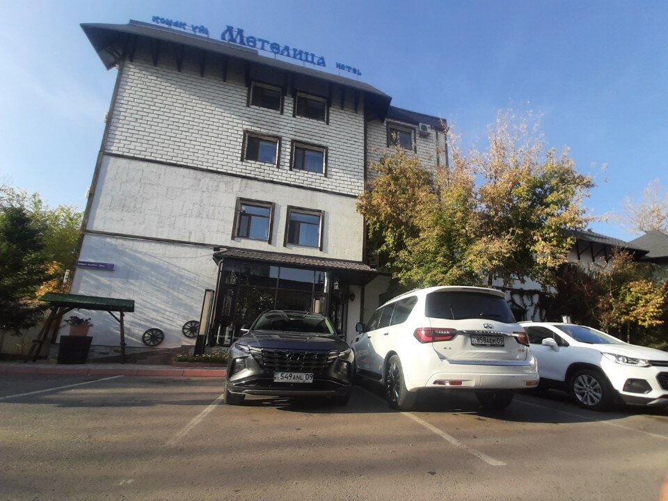 Фото Метелица