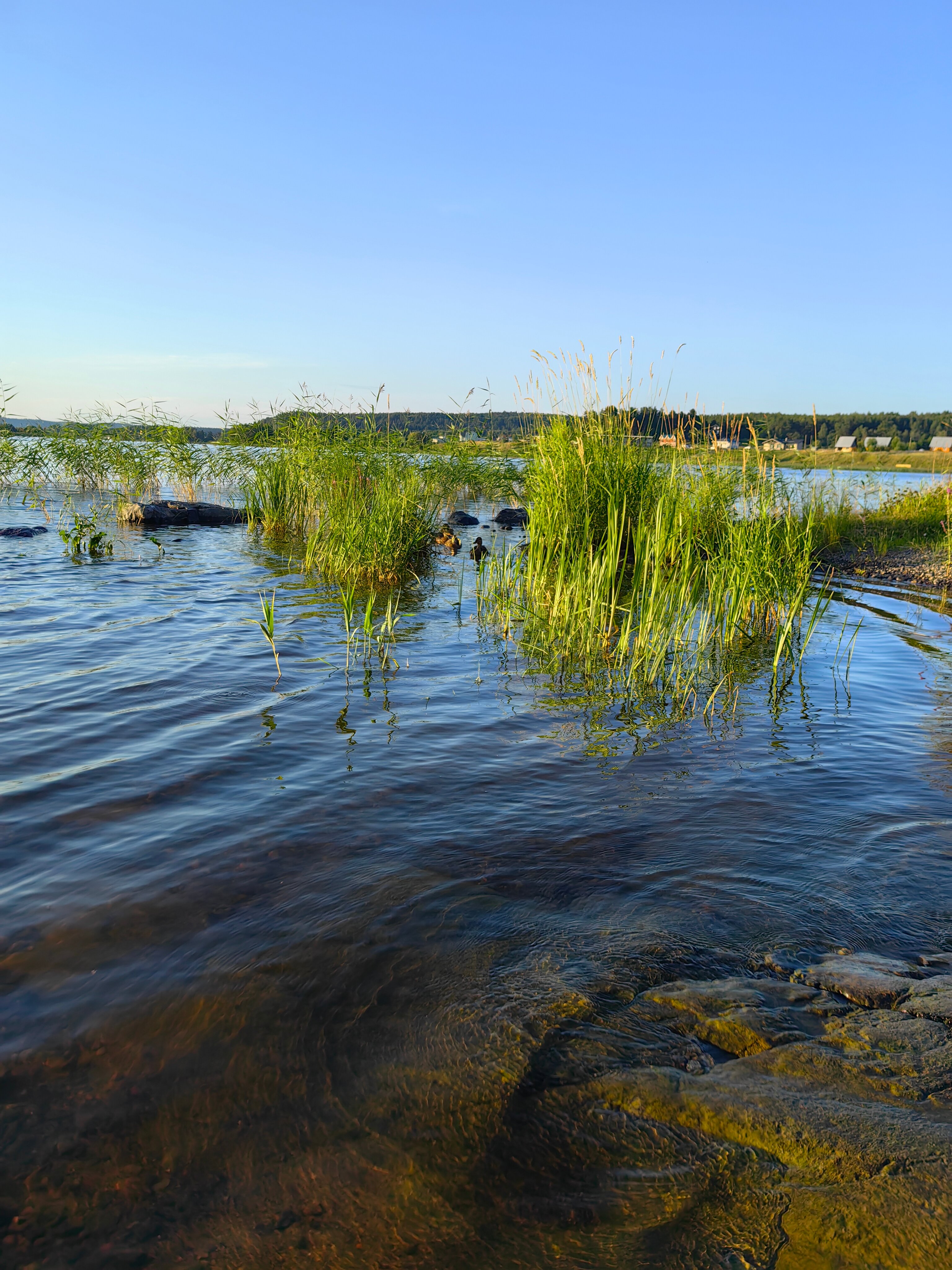 Фото Павола
