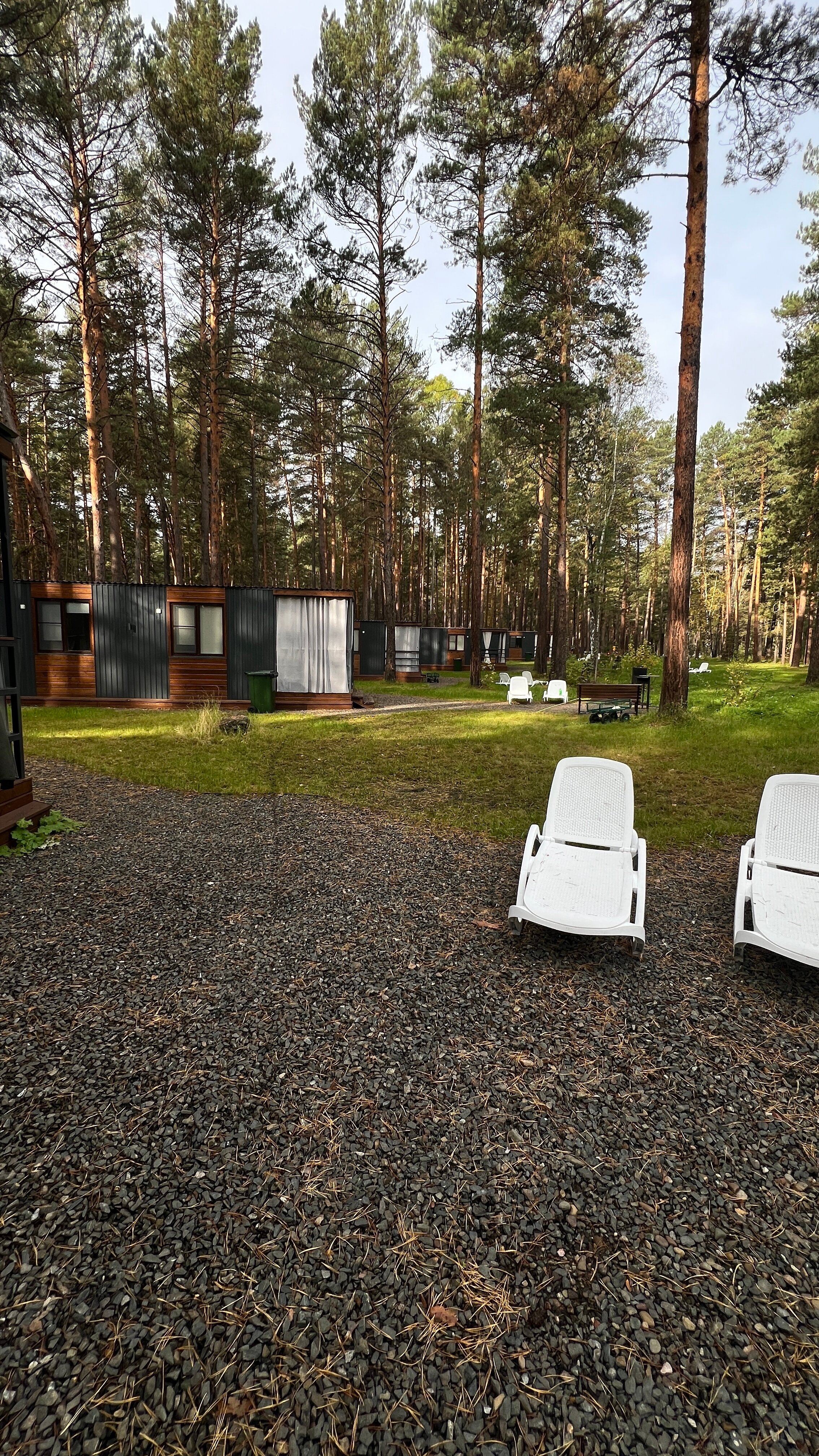 Фото Мишкины Шишки