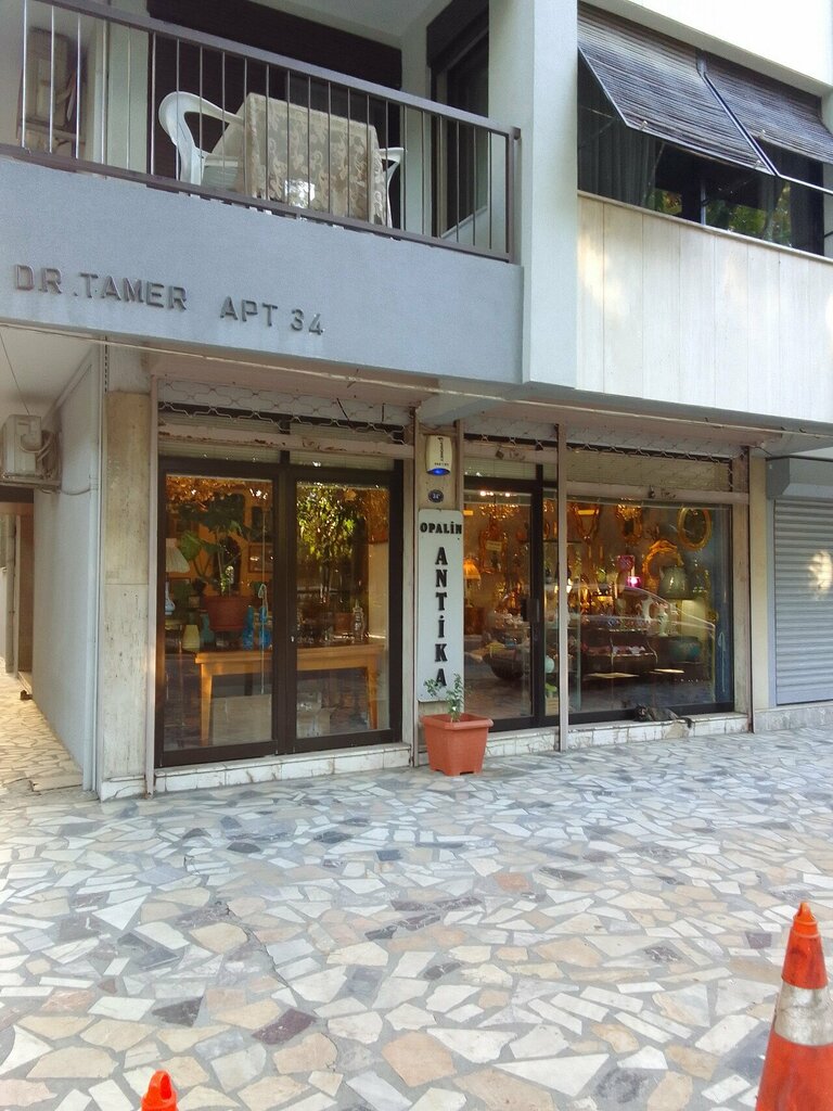 Antique store Opalin Antique, Izmir, photo
