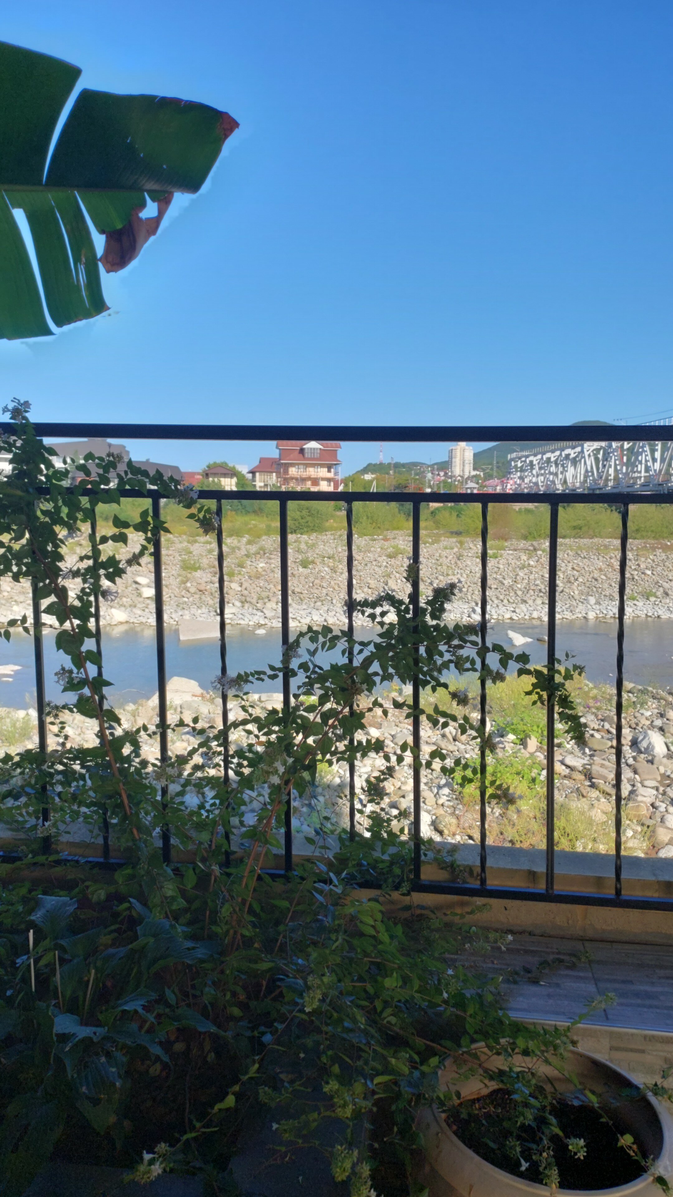 Фото Южный дворик