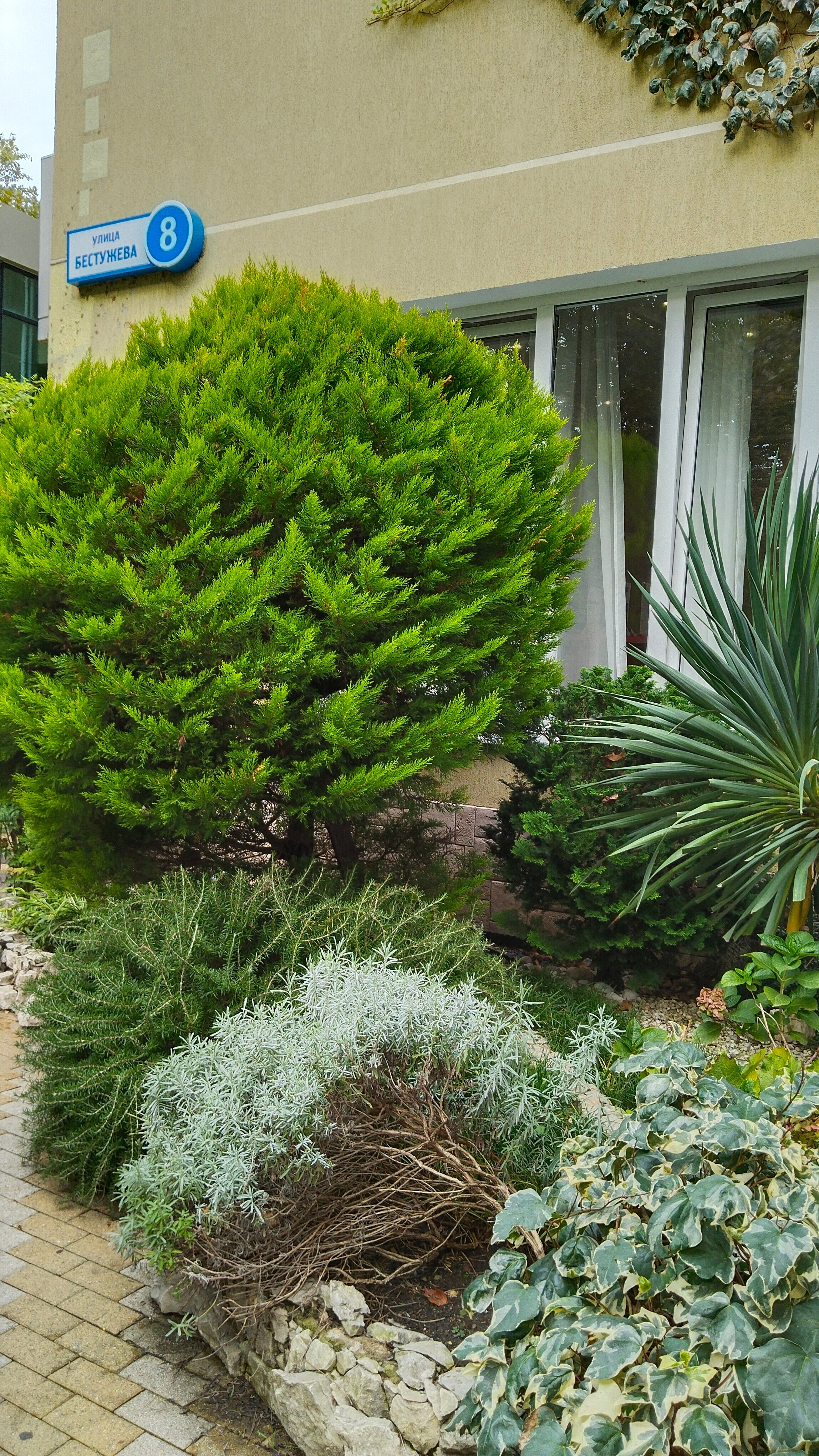 Фото Альмира