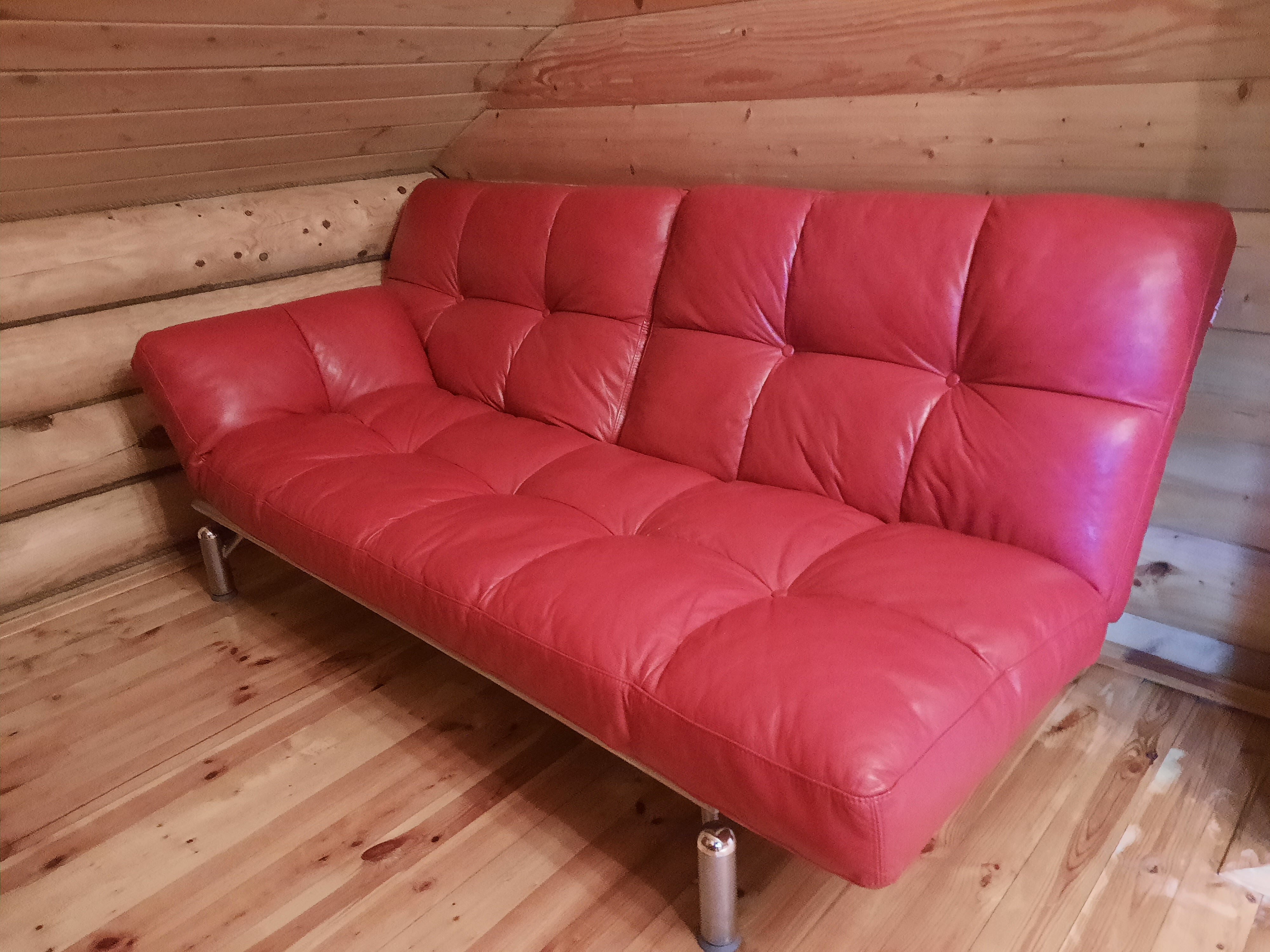 Фото Дикий Лис