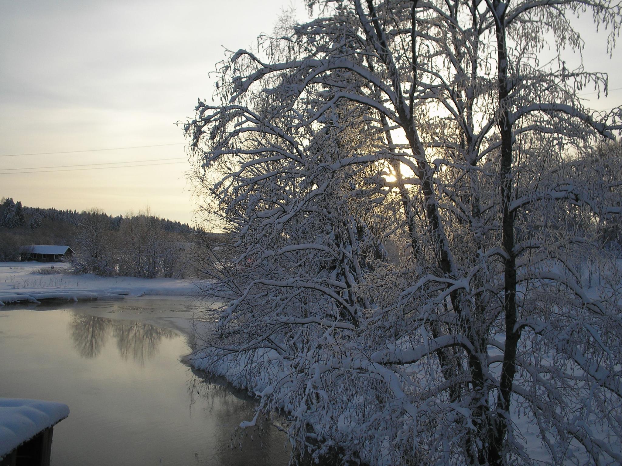 Фото Солониха