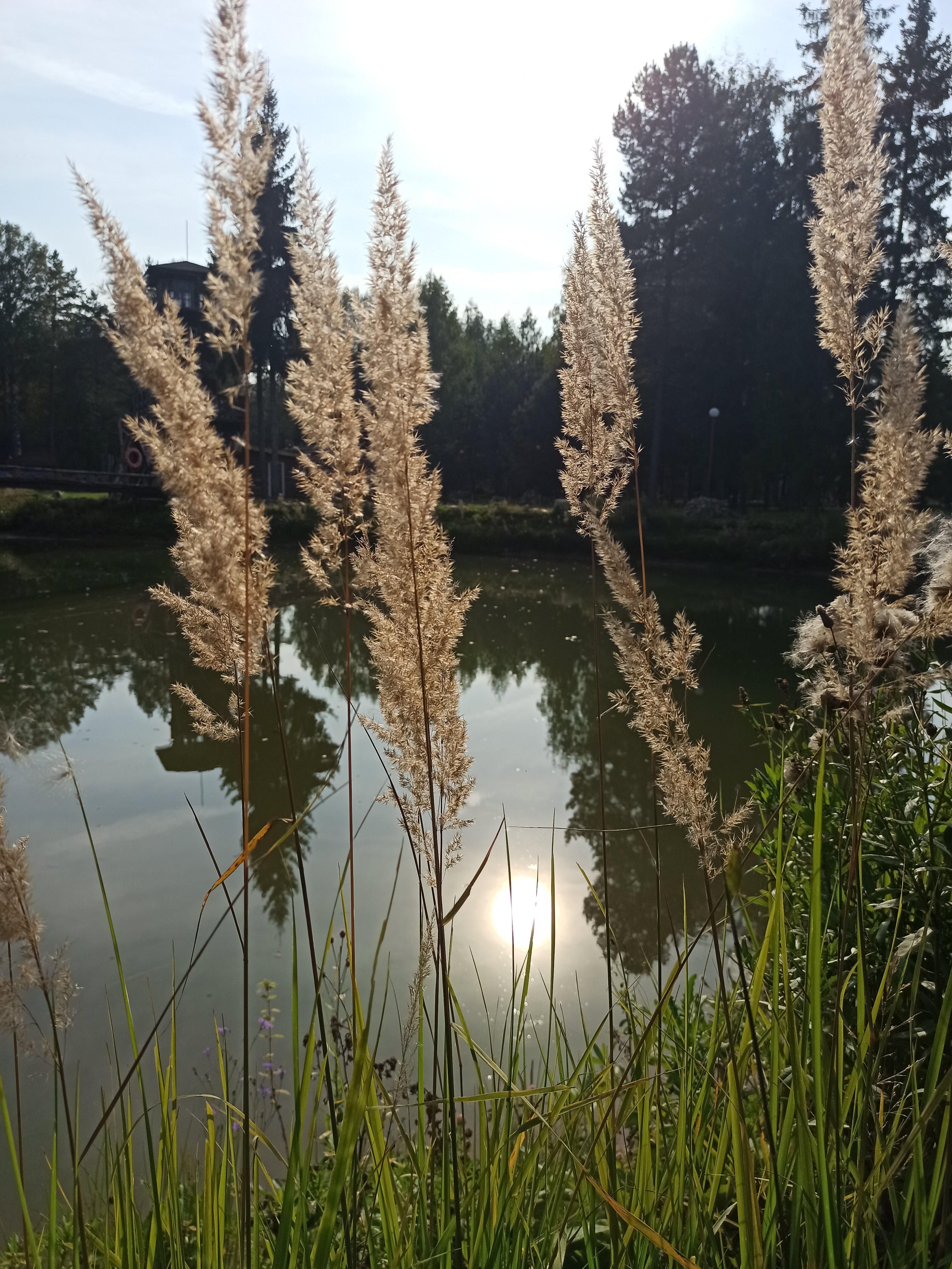 Фото Южный Паркъ