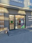 Farmacia Familiei (strada Alexandru cel Bun, 94), pharmacy