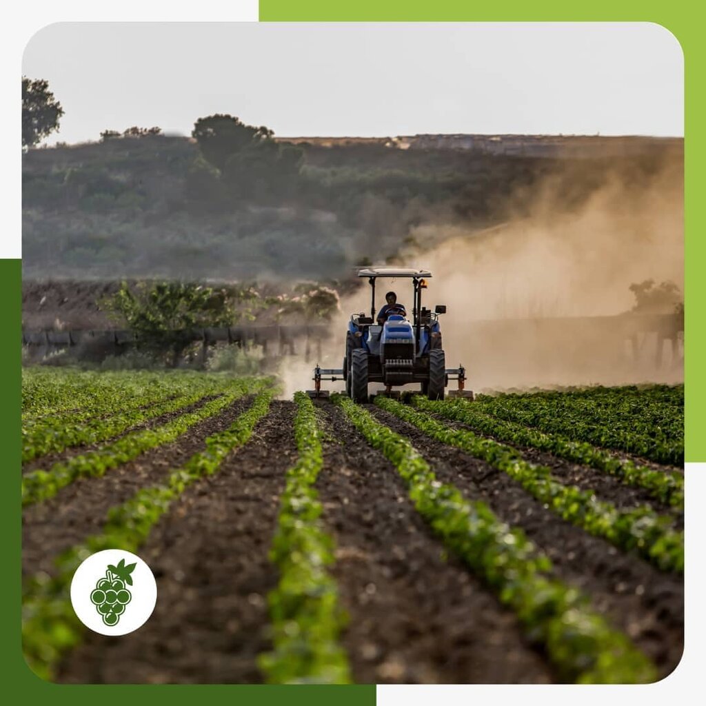 Industrial chemistry Ege Development Chemical Industry, Izmir, photo