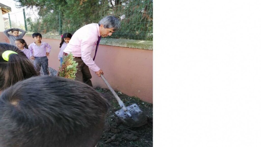 Primary school Koprubasi Primary School, Adapazari, photo