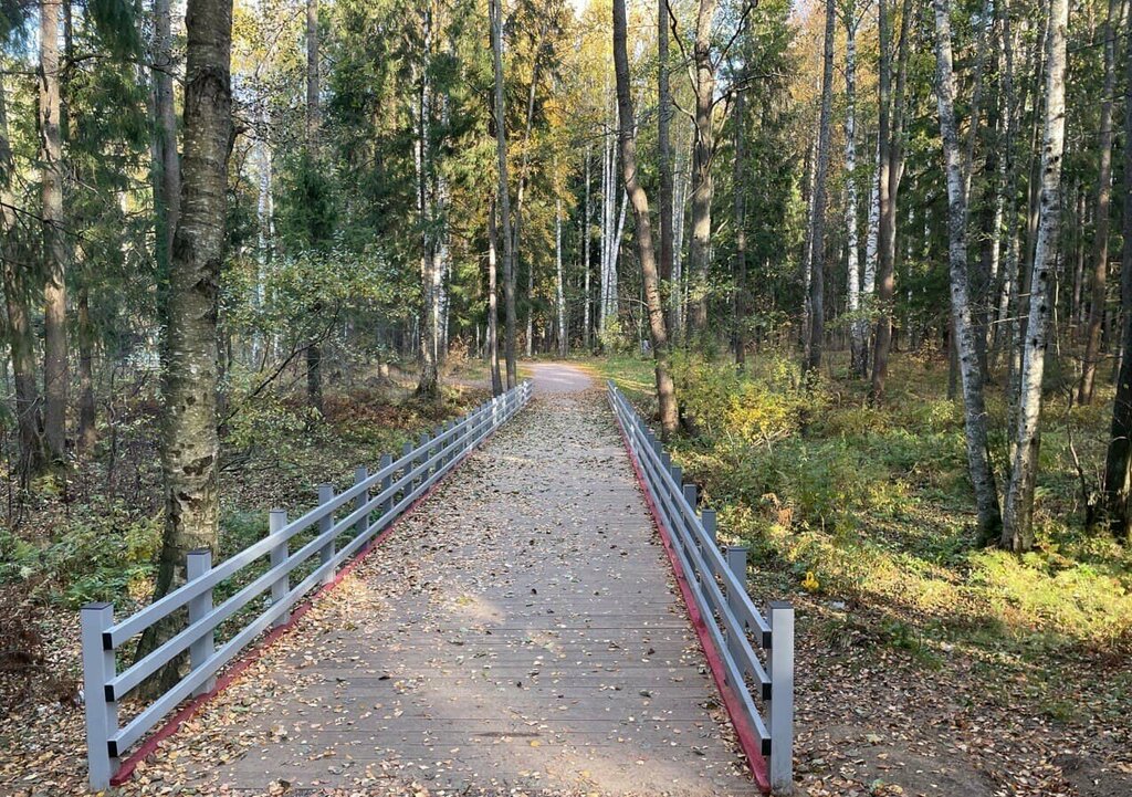 Parque de cultura y ocio Территория для проведения общегородских мероприятий, , foto