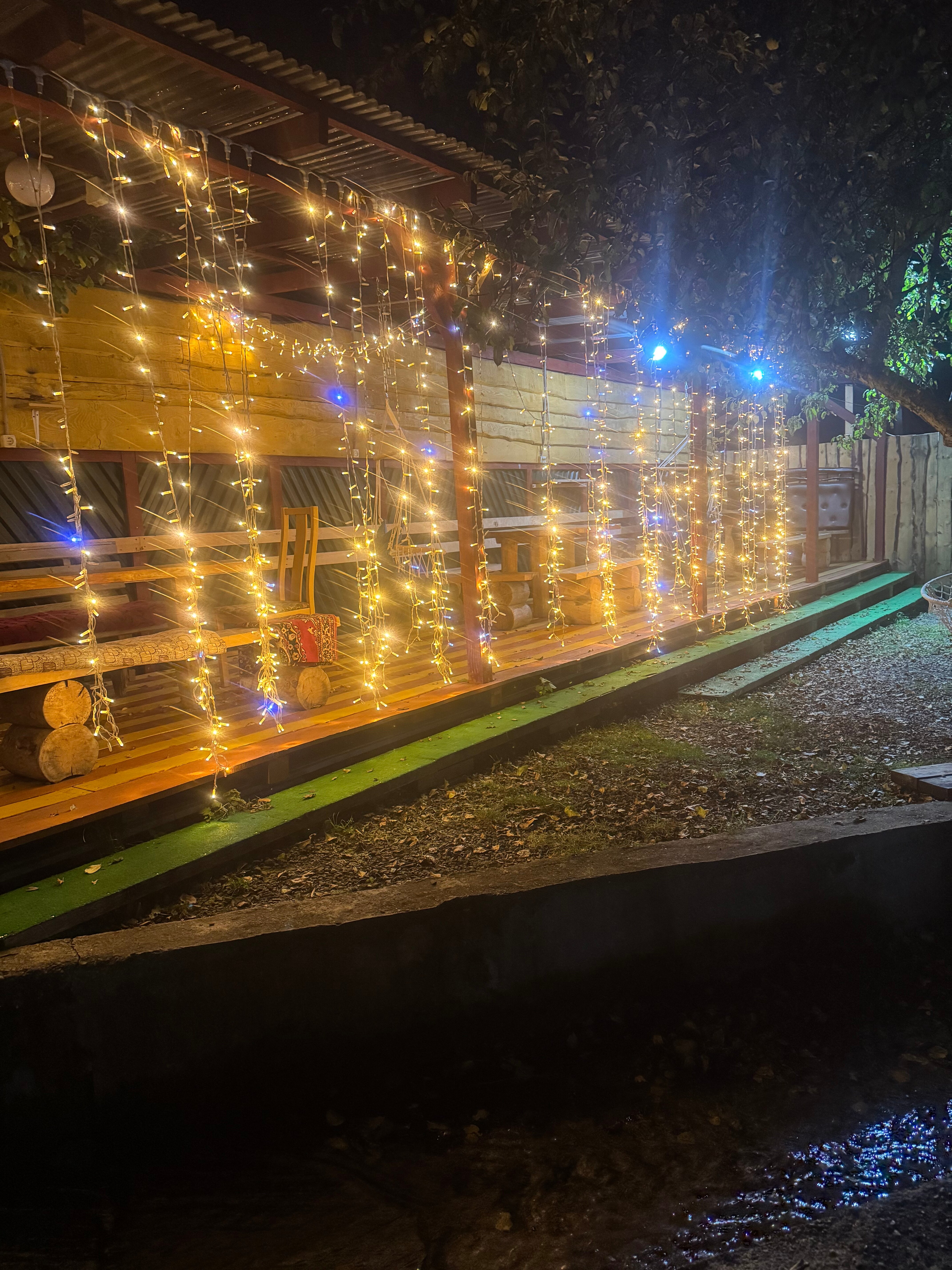 Фото Райские яблоки