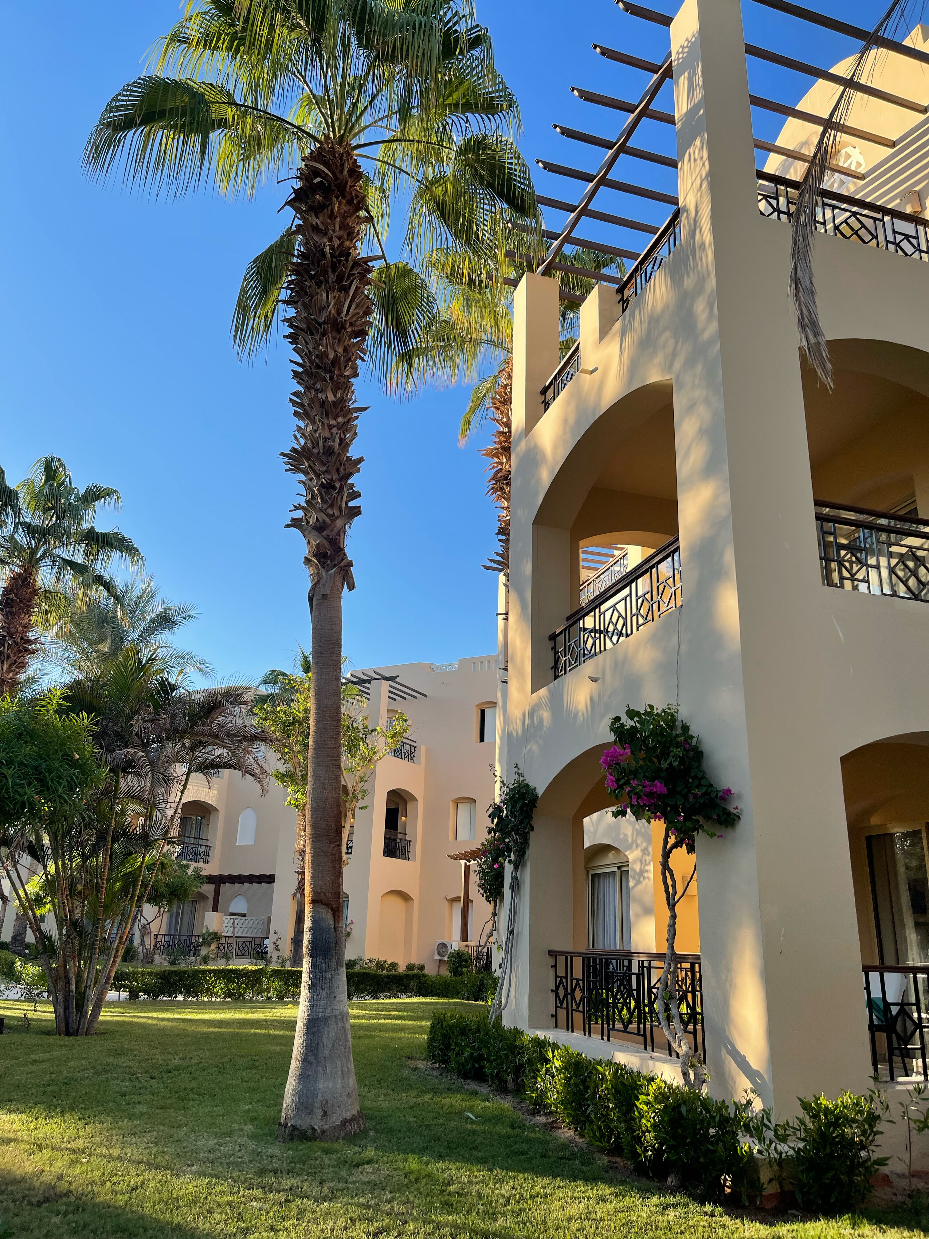 Фото Iberotel Redsina