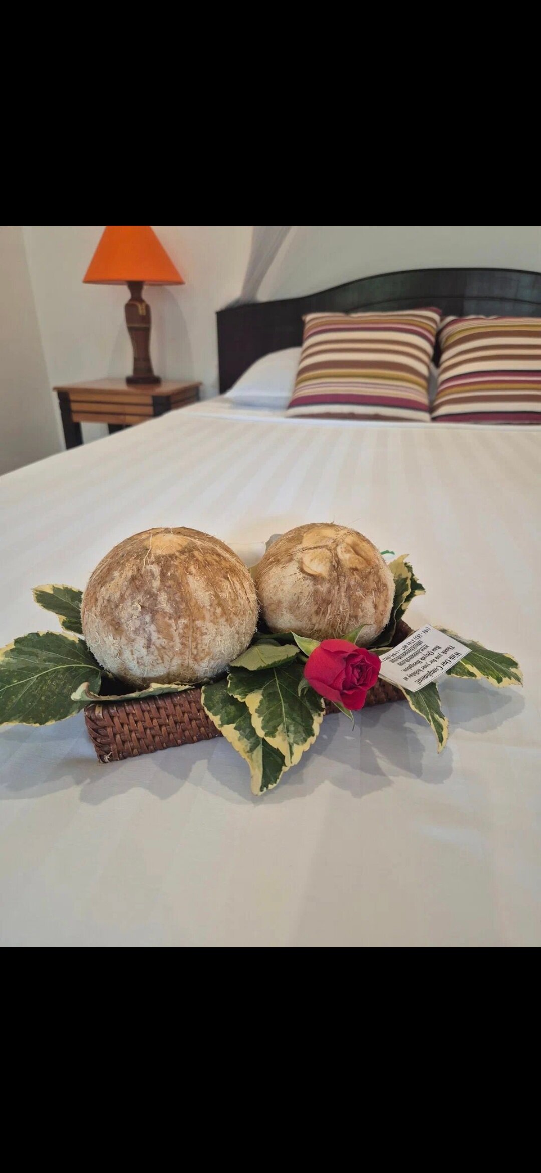 Фото Bao Quynh Bungalow Mui Ne