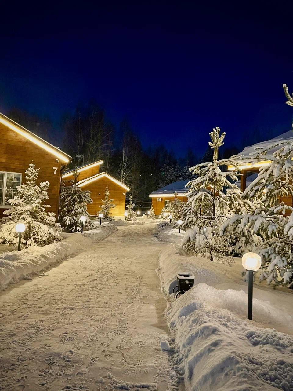 Фото Золотые Караси