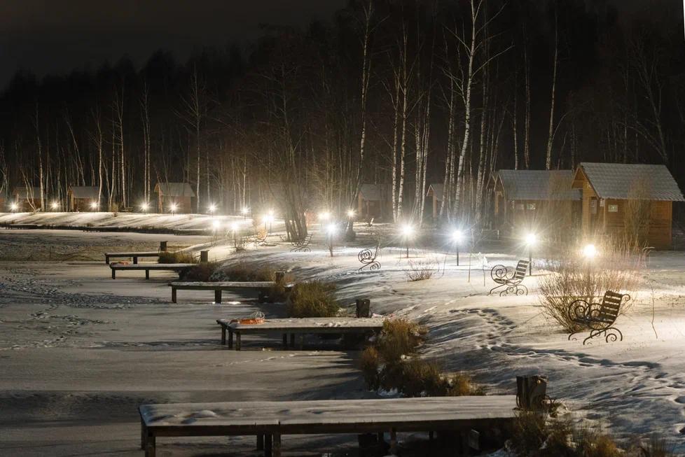 Фото Золотые Караси