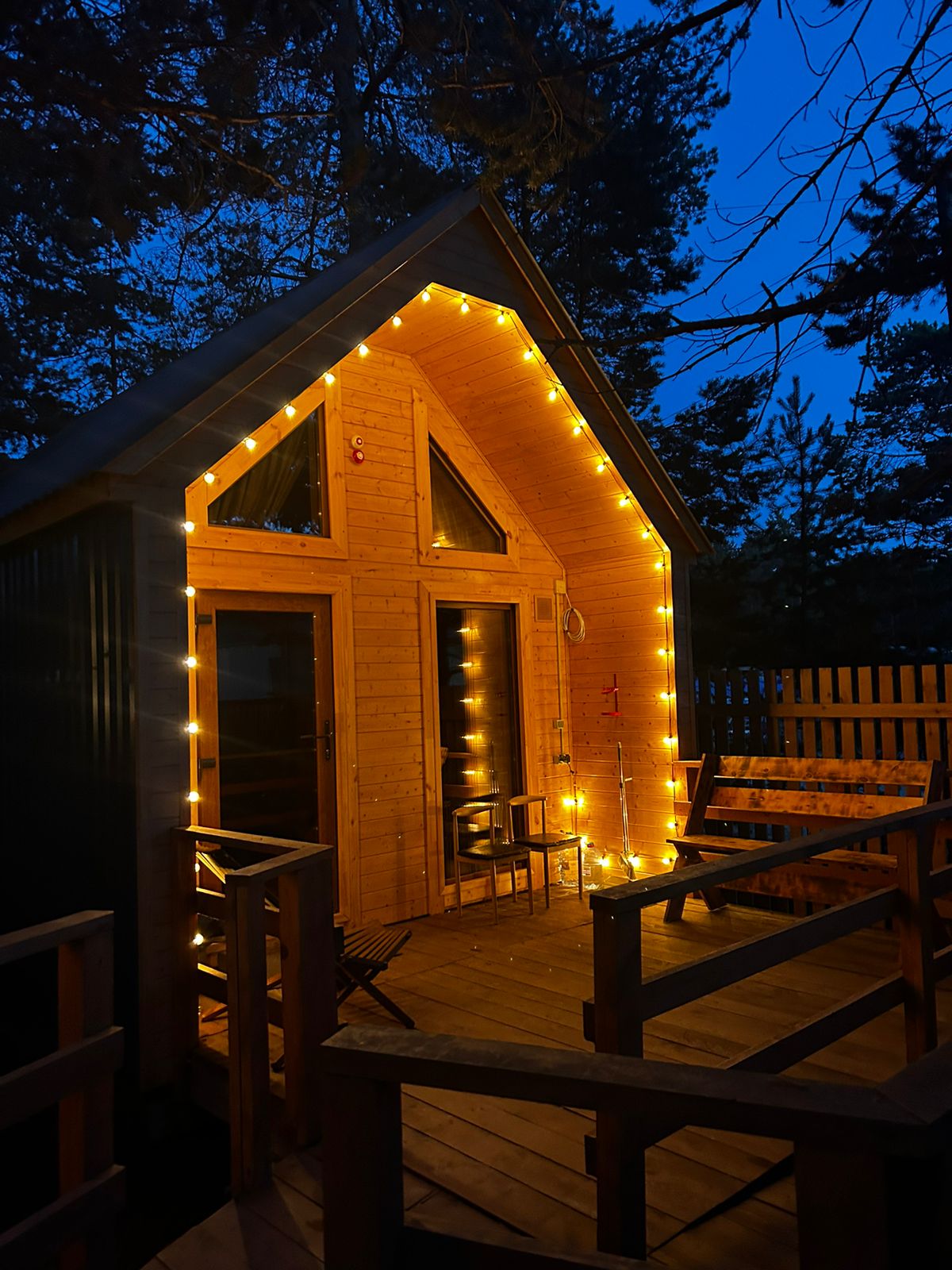 Фото Багульник