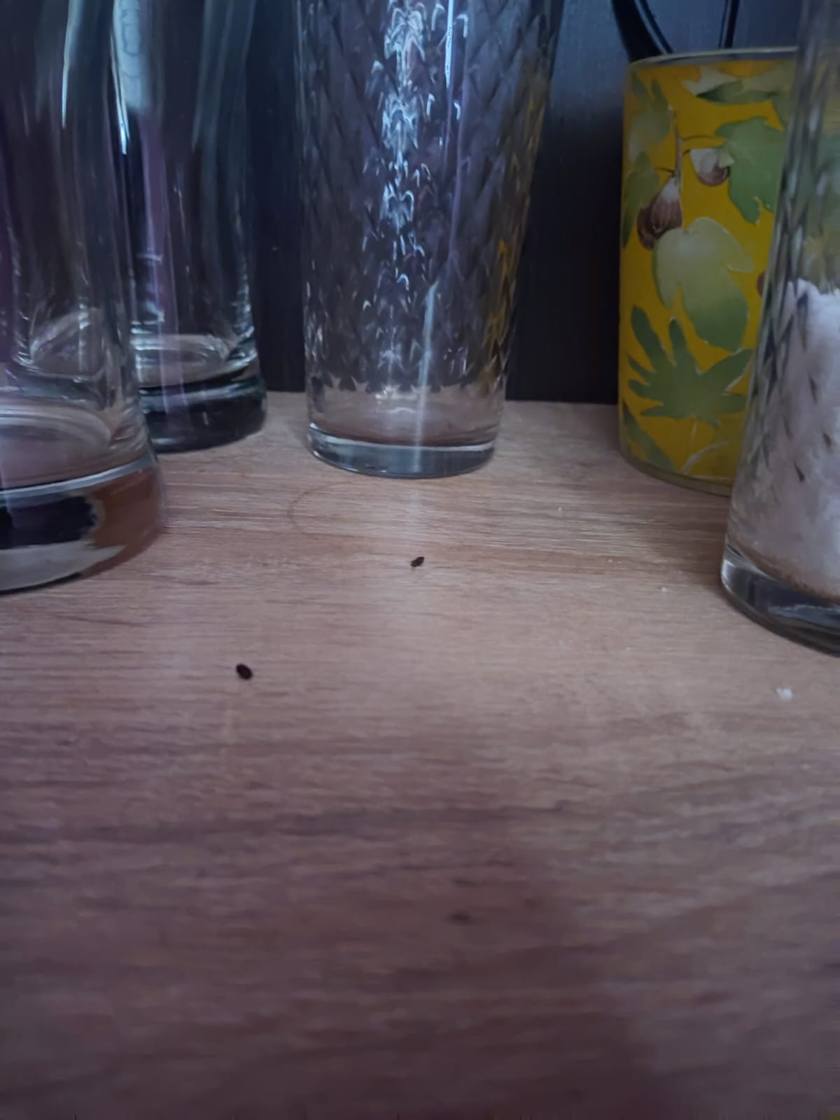 Фото Тихий дворик