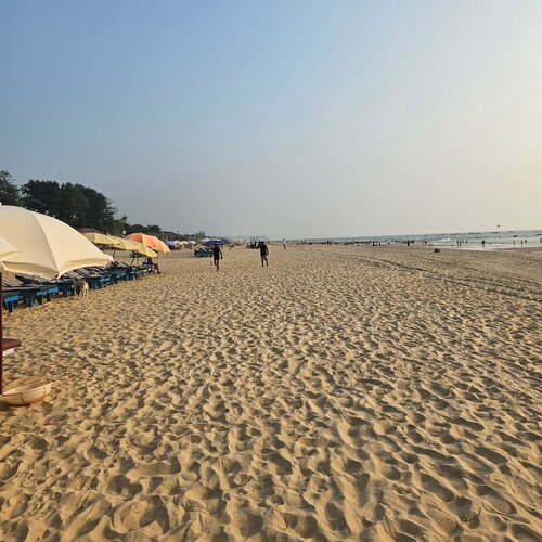 Внешний вид отеля Mayflower Beach Resort в Калангуте, фото 4