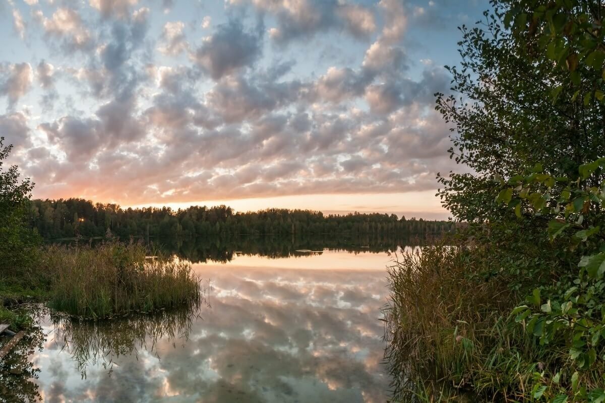 Фото На Светлояре