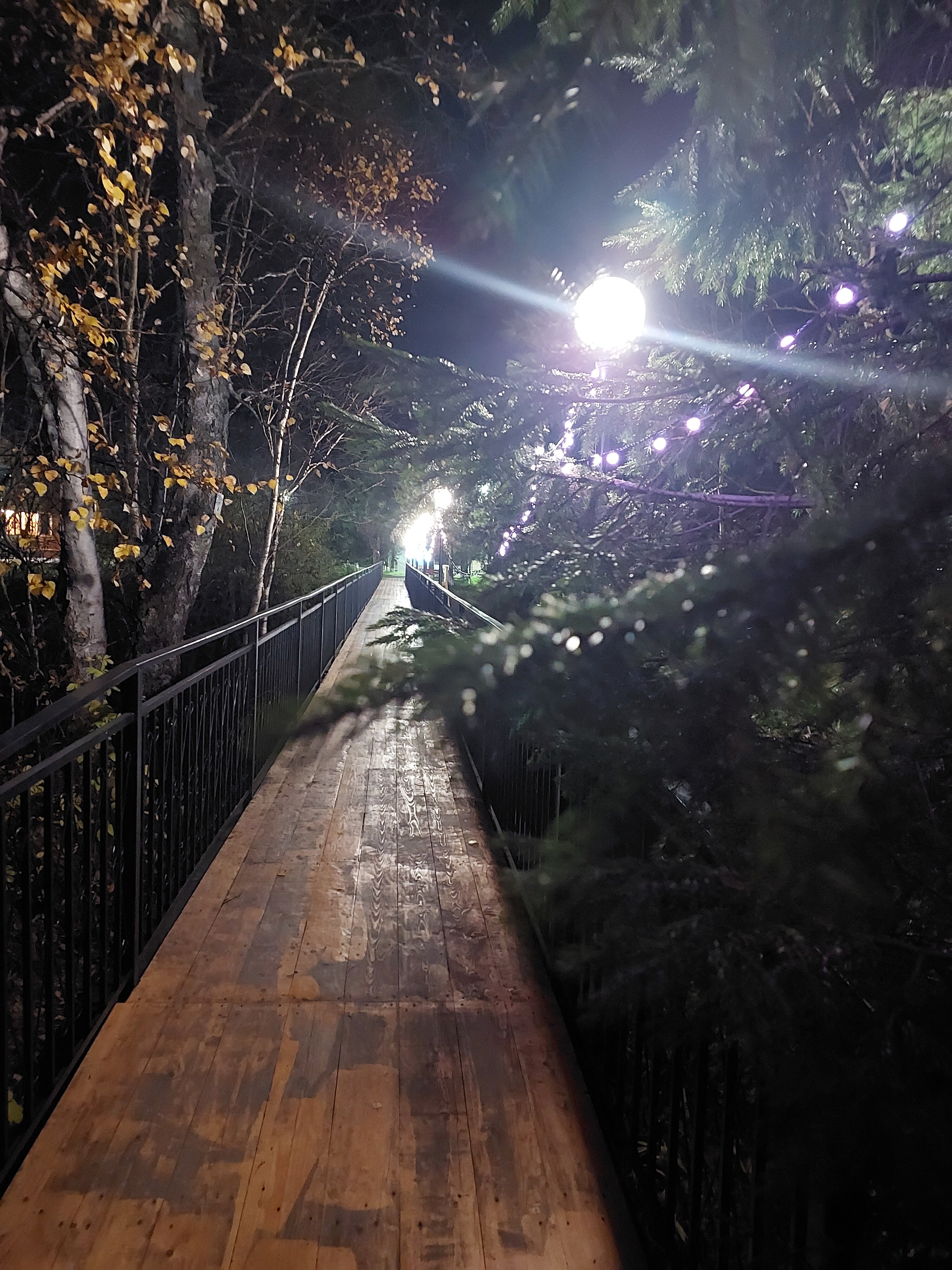 Фото Кречет