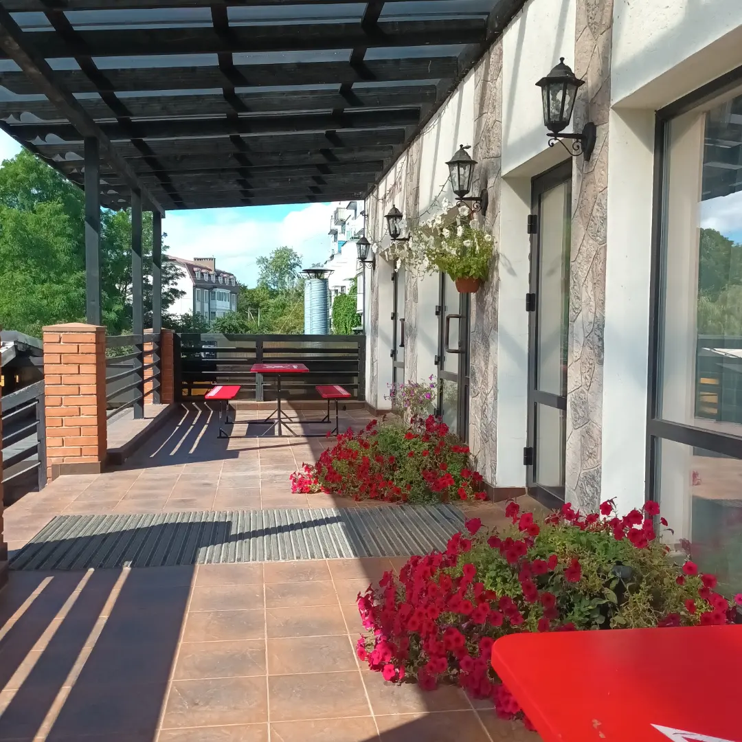 Фото Стрекоза