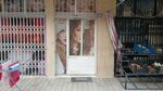 Filiz Ladies' Hairdresser (Konya, Meram, Pirebi Cad., 28) ، مصففو الشعر