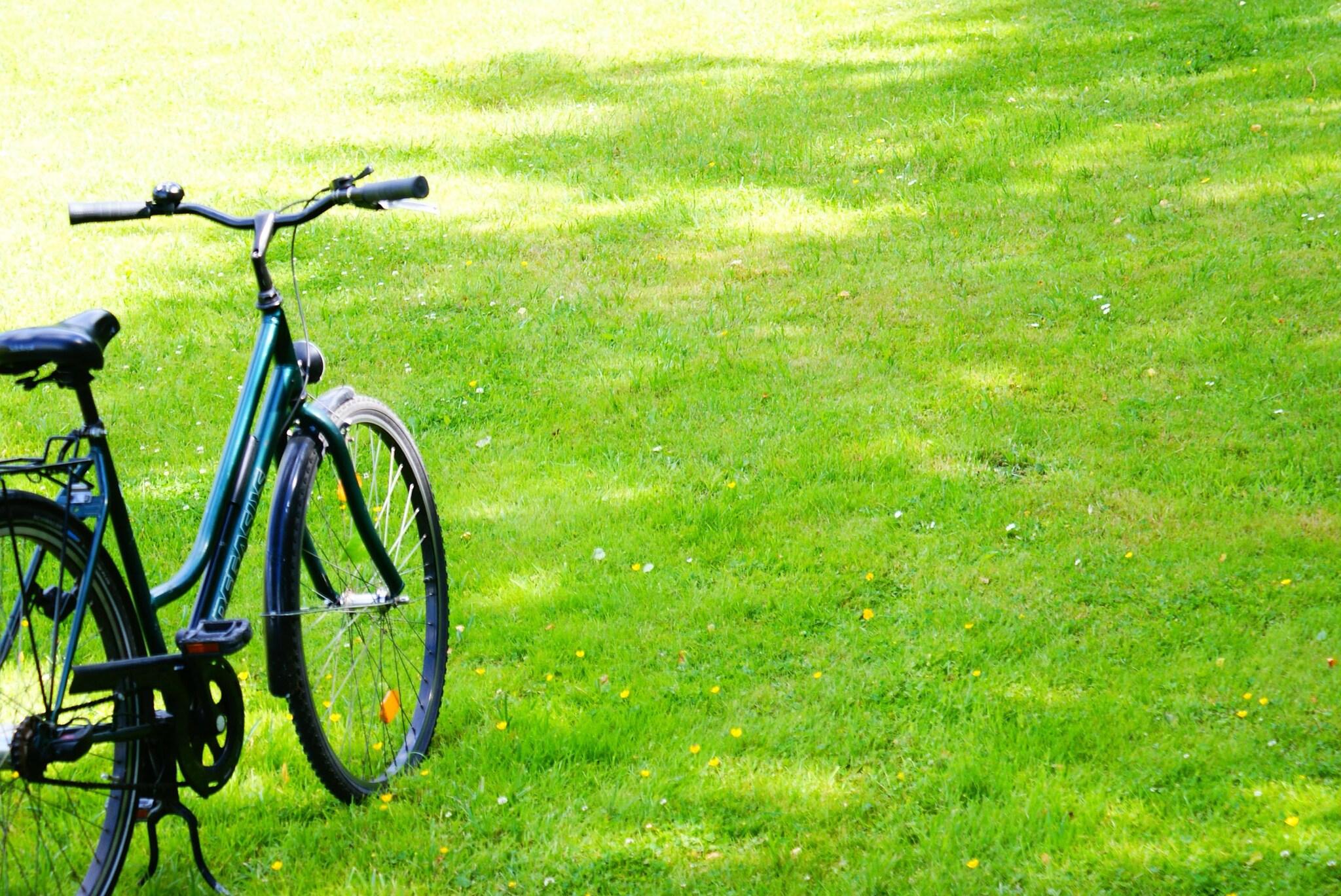 Фото Adina Apartment Hotel Copenhagen