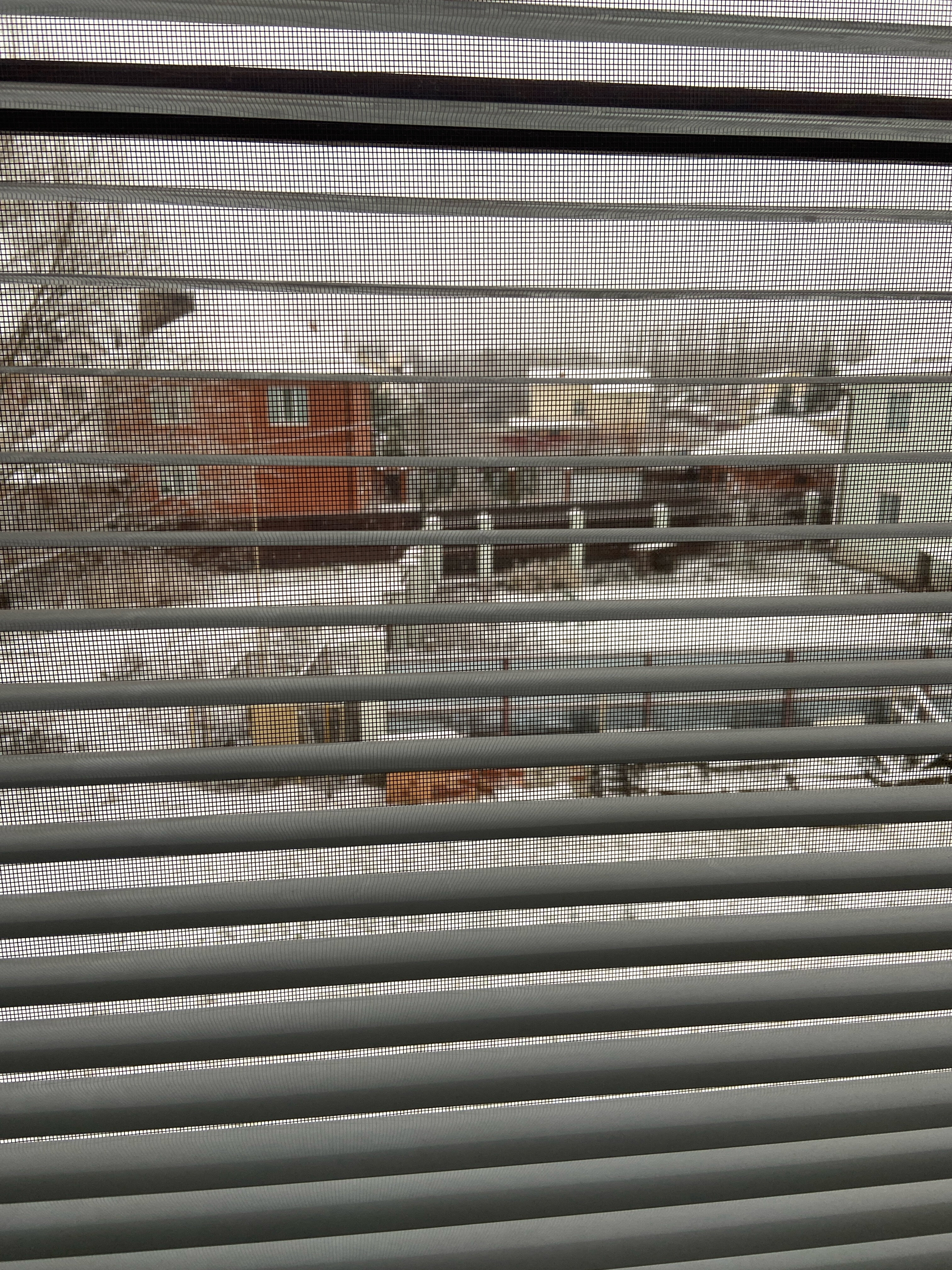 Фото Авангард