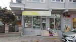 Photo Erdem (İstanbul, Avcılar, Cihangir Mah., Bahadır Sok., 2), photography
