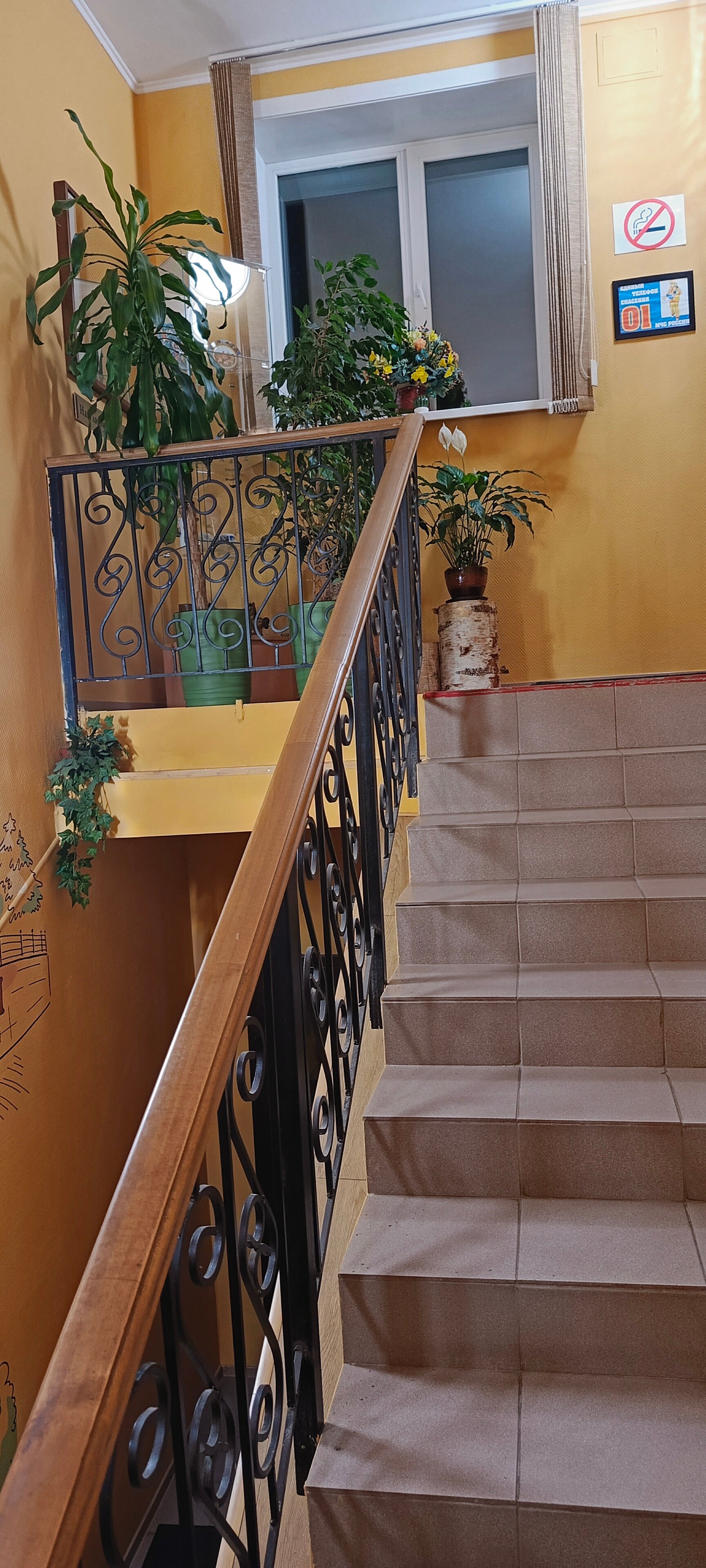 Фото На Вайнера