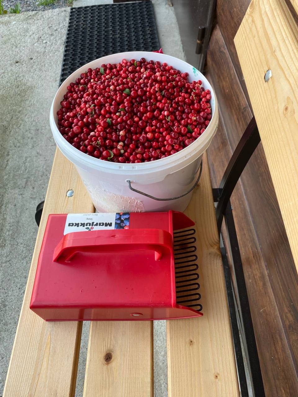 Фото Гостевой комплекс в деревне Нурмолицы