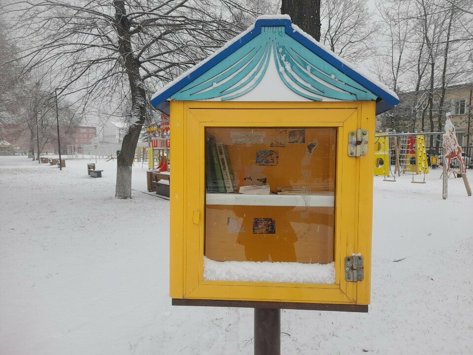 Bookсrossing Буккроссинг, Tula, photo