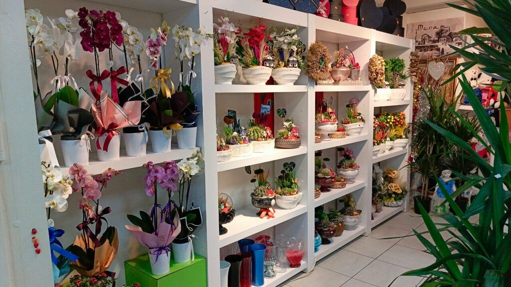 Flower shop Erulas Flower Palace, Konya, photo