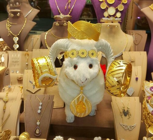 Yılmaz Kuyumcu Fotoğraf 2