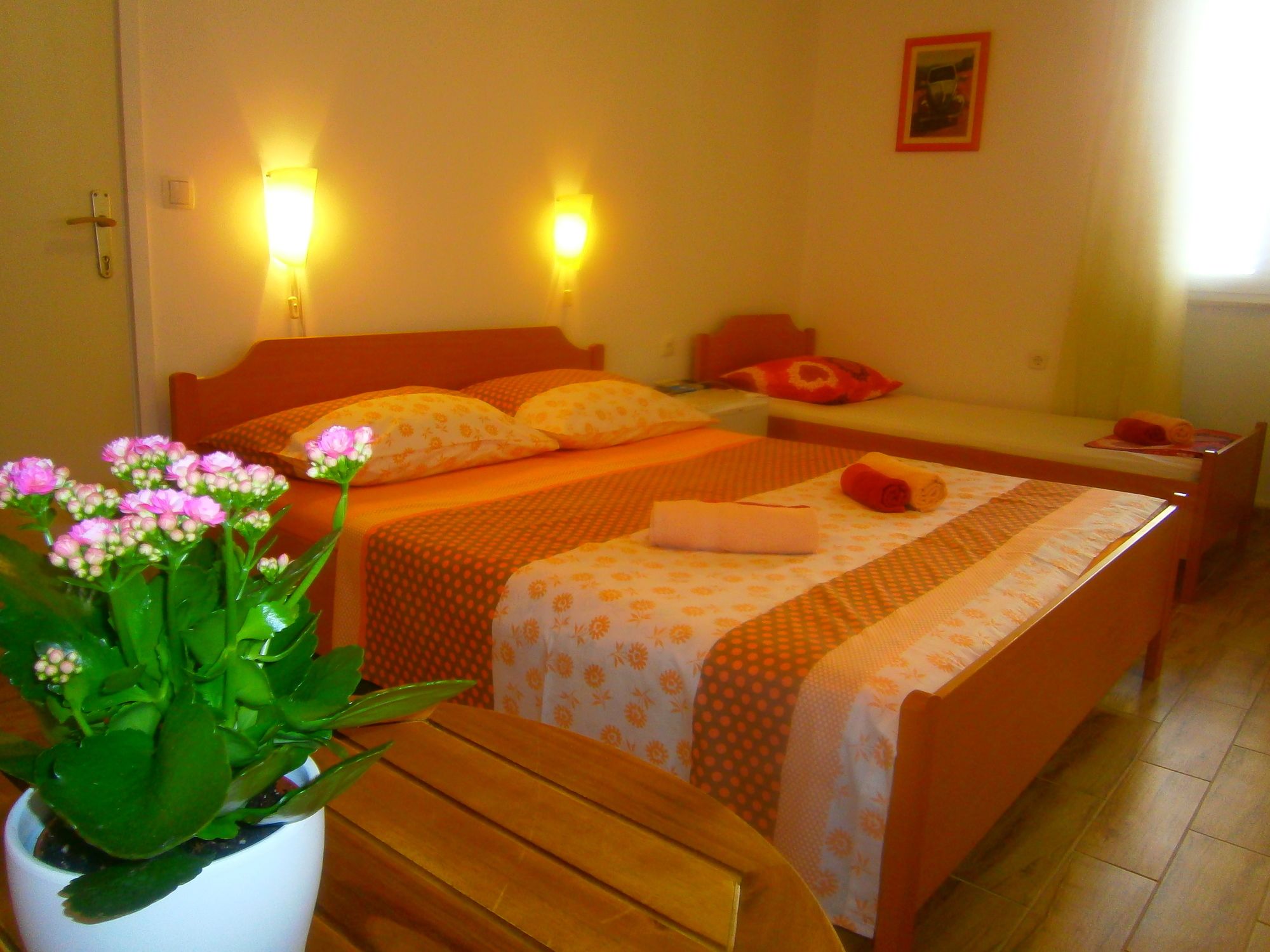 Фото Apartments and Rooms Djanovic