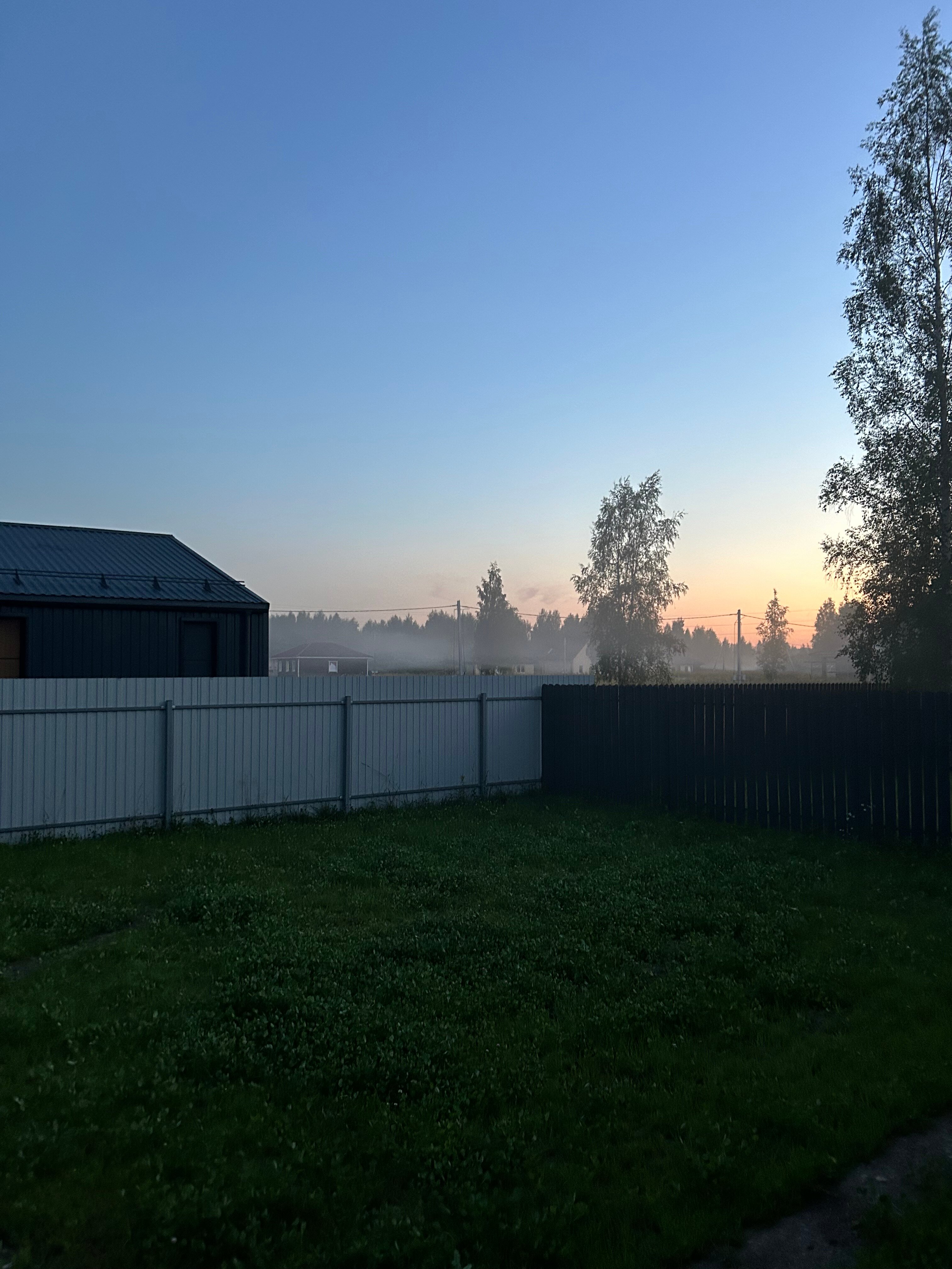 Фото РяДом Лес