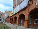 Территория самбо (Vladimira Nevskogo Street, 15), sports club