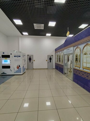 Иное жильё RecoRoom Sonnik Артём в Артемовском городском округе