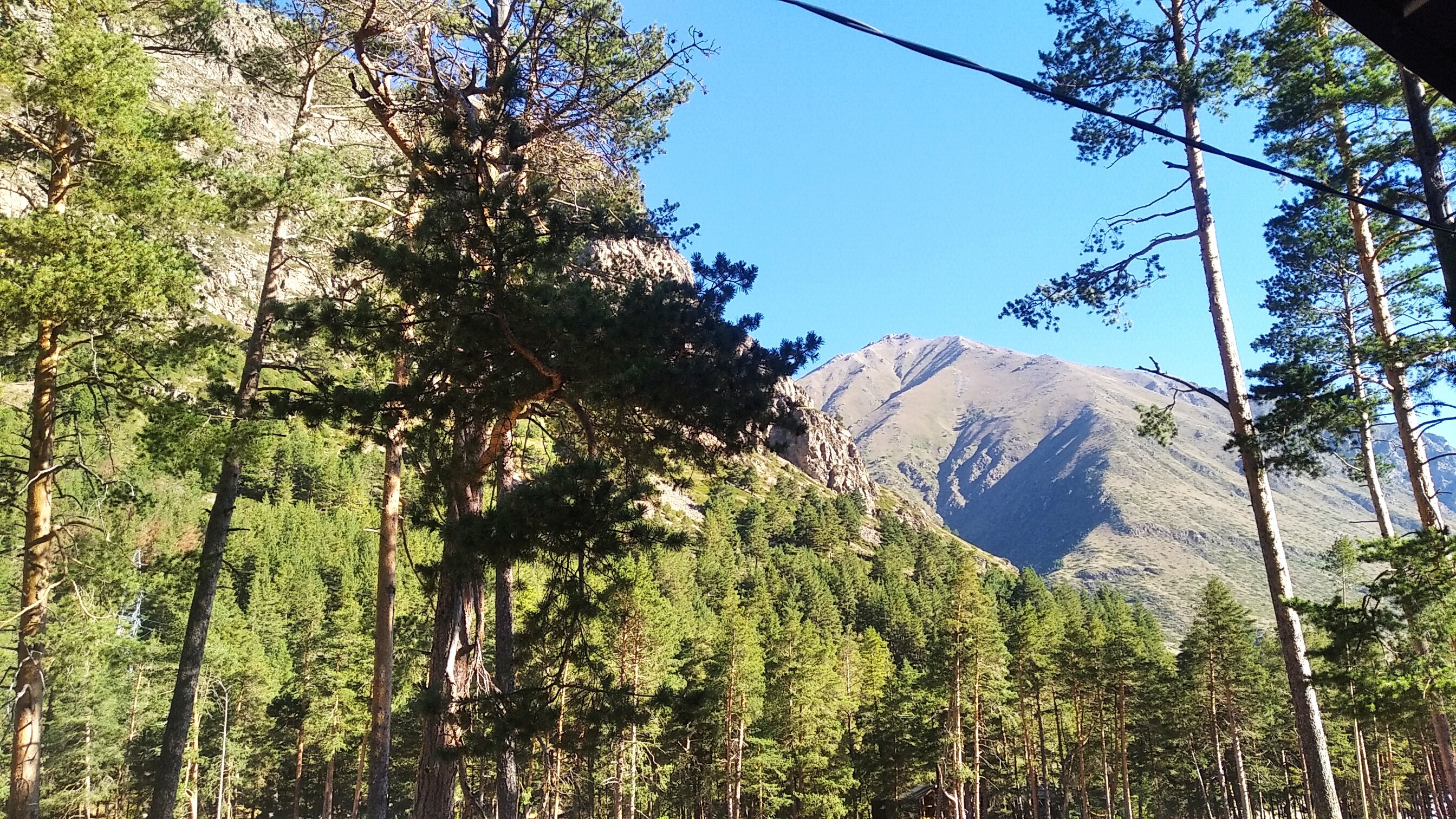 Фото Эко Хаус