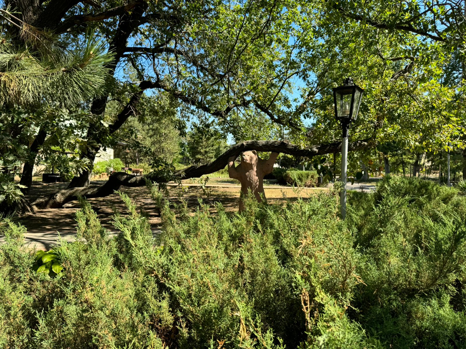 Фото Ветерок