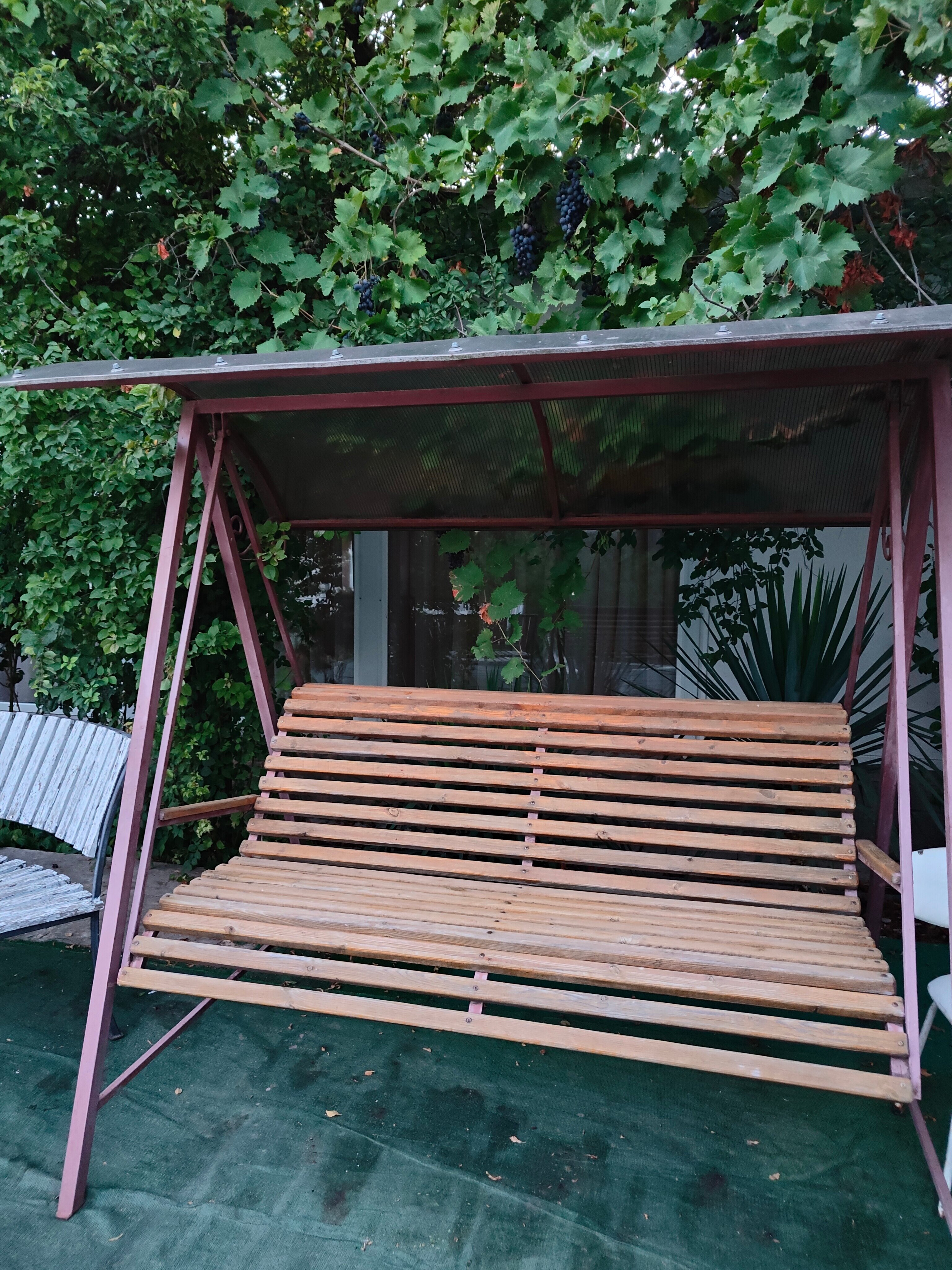 Фото Дружба