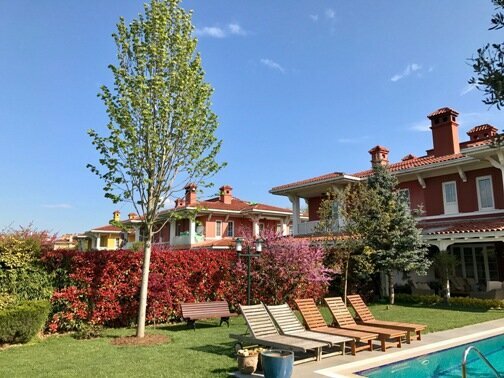 Garden center Gokturk Botanic, Istanbul, photo