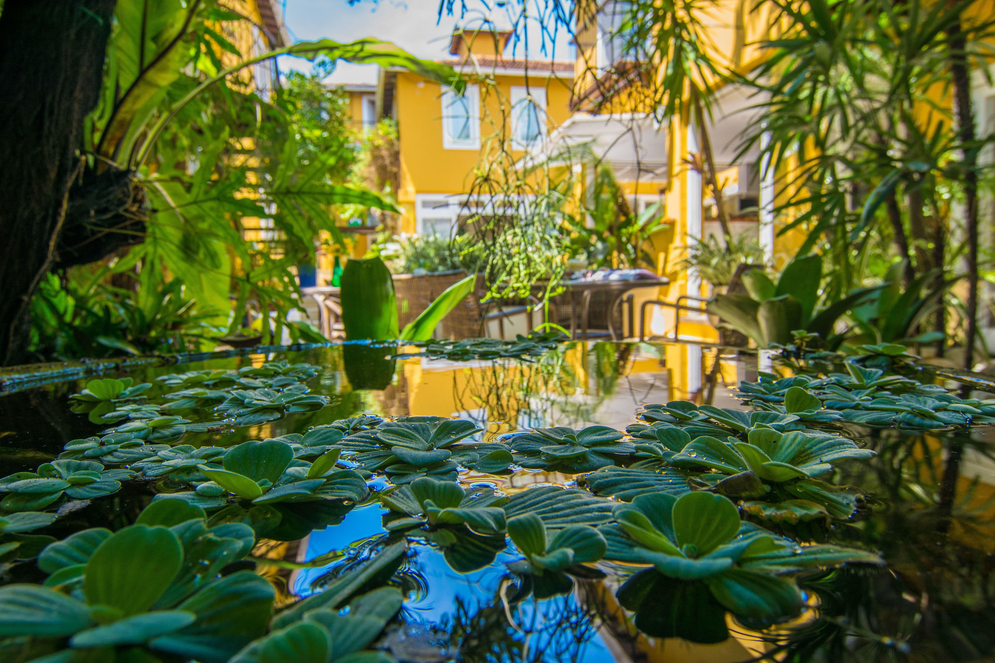 Фото La Chimere Buzios Essence