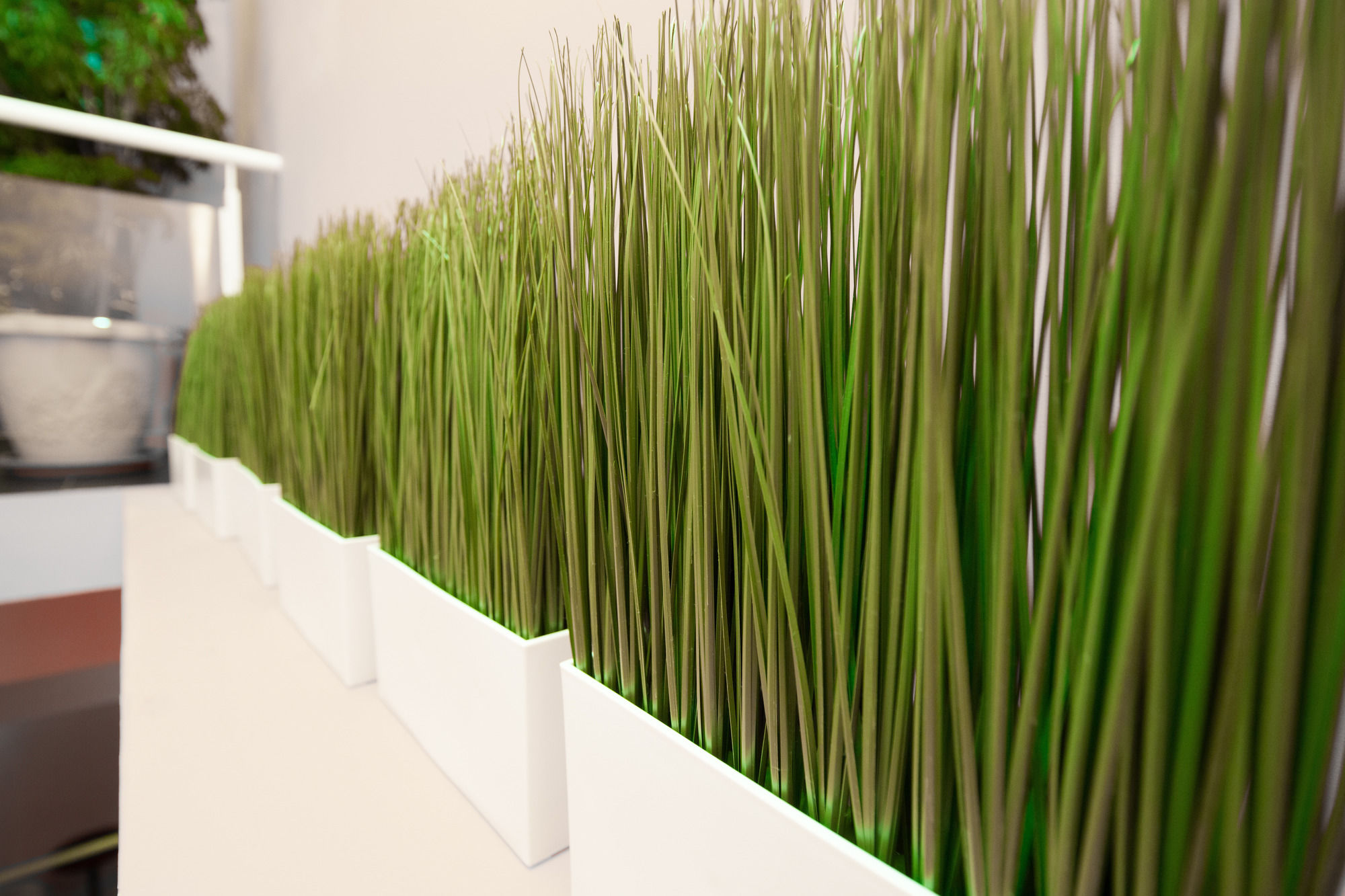 Фото SleepBox Hotel - Ximen