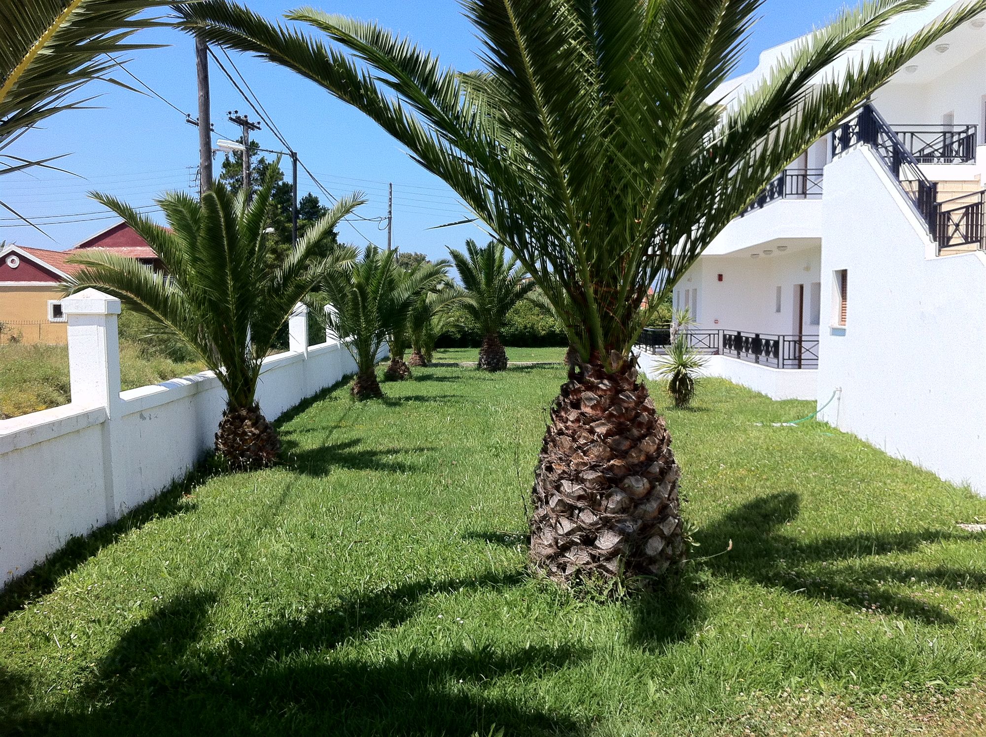 Фото Stemma Hotel