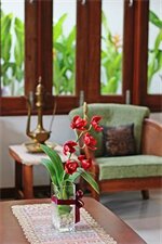 Фото 98617937470